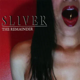 The Remainder by Sliver