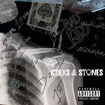 Sticks and stones by 1stNameDiz