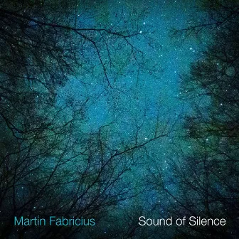 Sound of Silence by Martin Fabricius