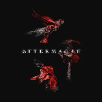 AfterMagat by Magat