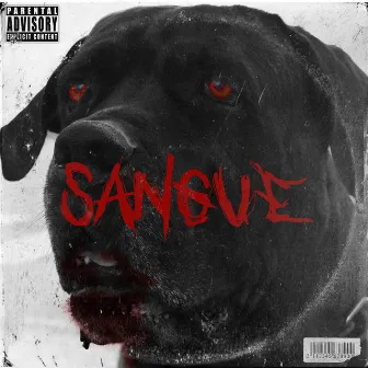 SANGUE by Nich