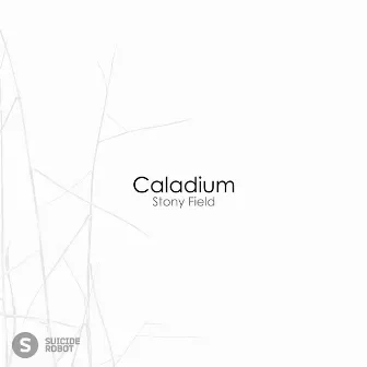 Stony Field by Caladium