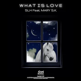 What Is Love by SLH