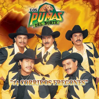 14 Corridos Fregones by Los Pumas Del Norte