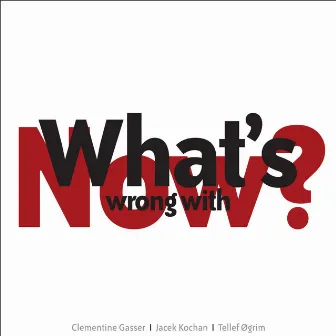 What's Wrong With Now? by Clementine Gasser