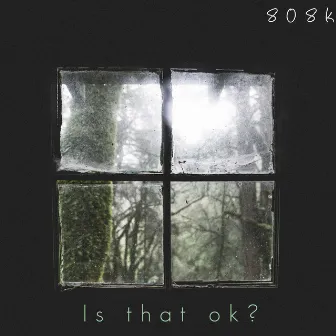 Is That Ok? by 808k