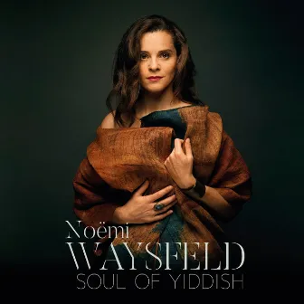 Soul of Yiddish by Noëmi Waysfeld