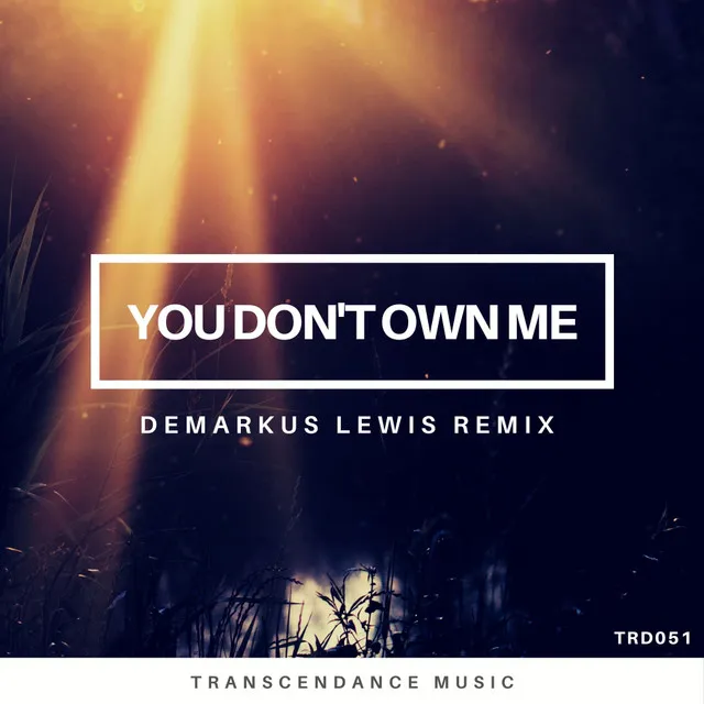 You Don't Own Me - Demarkus Lewis Dub Remix