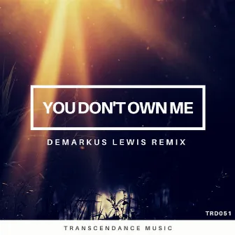 You Don't Own Me (Demarkus Lewis Remix) by Chenandoah