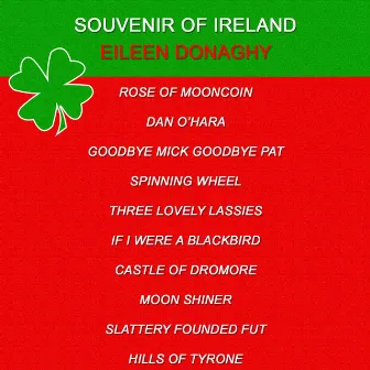 Souvenir of Ireland by Eileen Donaghy