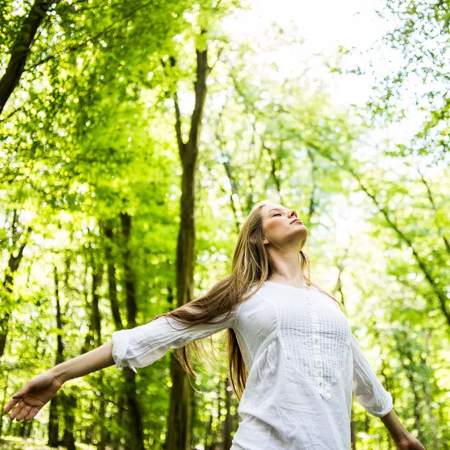 Nature Relaxation Melodies: Relaxing Bird Chorus Serenade for Peace