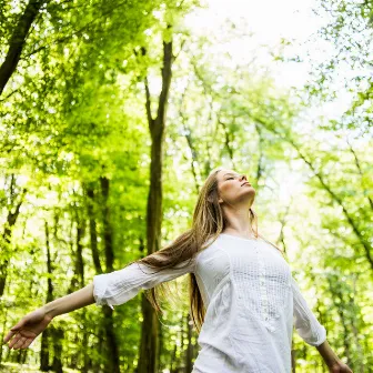 Nature Relaxation Melodies: Relaxing Bird Chorus Serenade for Peace by Scandinavian Birds