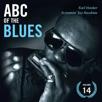 ABC Of The Blues Vol 14 by Earl Hooker