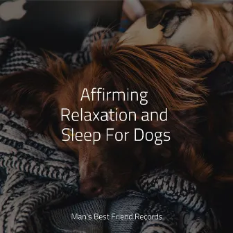 Powerful Songs | Zen Sleep & Calm and Relaxation For Dogs by Pet Care Music Therapy