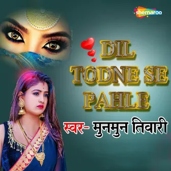 Dil Todne Se Pahle by 