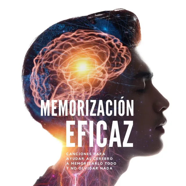 Memorización Eficaz: Canciones para Ayudar al Cerebro a Memorizarlo Todo y no Olvidar Nada