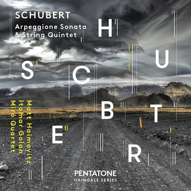 String Quintet in C Major, Op. 163, D. 956: III. Scherzo. Presto