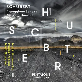 Schubert: Arpeggione Sonata in A Minor, D. 821 & String Quintet in C Major, Op. 163, D. 956 by Itamar Golan