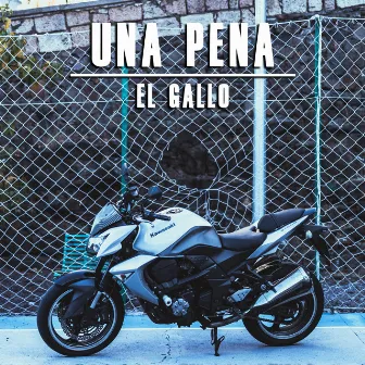 Una Pena by El Gallo