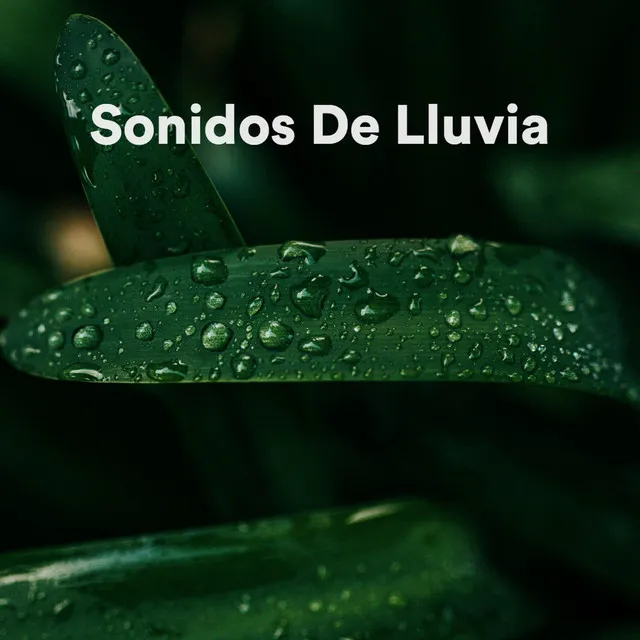 Sonidos de Lluvia