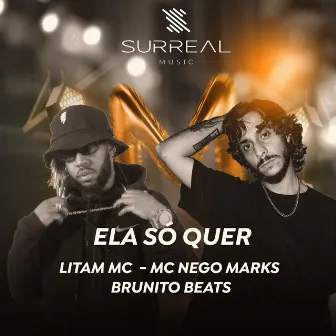 Ela só quer by Mc Nego Marks