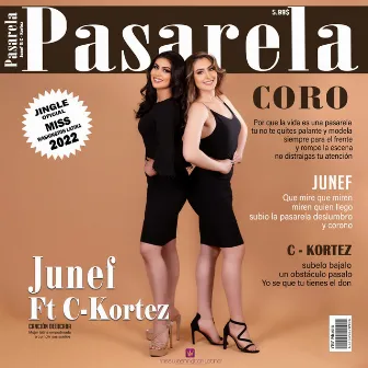 Pasarela by Junef