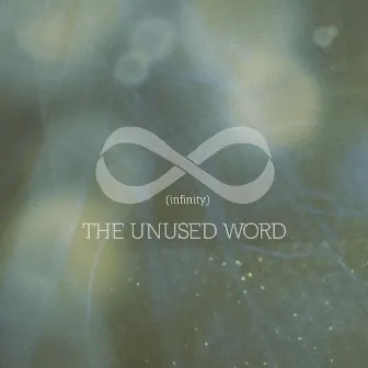 ∞ (infinity) by The Unused Word