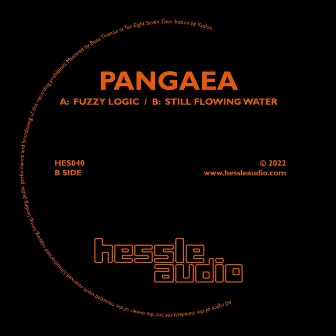 Fuzzy Logic / Still Flowing Water by Pangaea