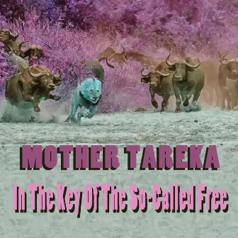 In the Key of the So-Called Free by Mother Tareka