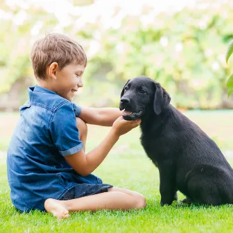 Serenity with Paws: Piano Rain Pet Sanctuary by rainstantly