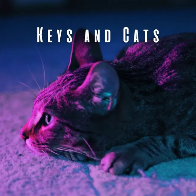 Keys and Cats: Meditative Piano Dreamy Melodies