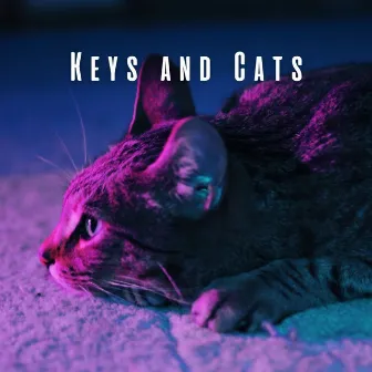 Keys and Cats: Meditative Piano Dreamy Melodies by 