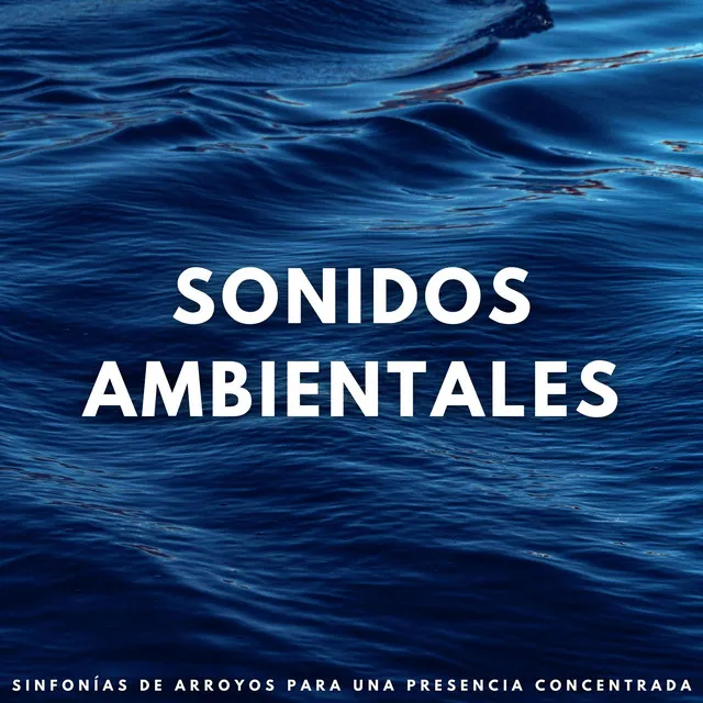 Sonidos Ambientales: Sinfonías De Arroyos Para Una Presencia Concentrada