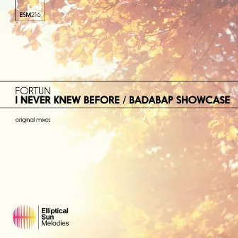 I never Knew Before / Badabap Showcase EP by Fortun