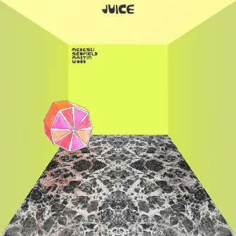 Juice by Medeski Scofield Martin & Wood