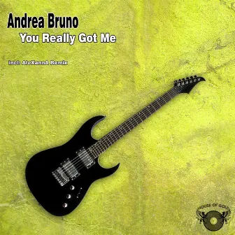 You Really Got Me by Andrea Bruno