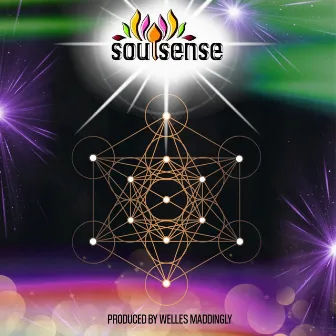 SOULSENSE by Welles Maddingly