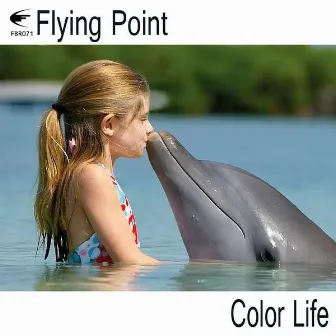 Color Life by Flying Point