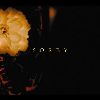 Sorry by Mr. 110