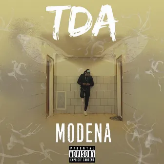 Modena by TDA