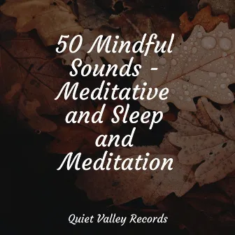 50 Mindful Sounds - Meditative and Sleep and Meditation by Naturaleza Relajacion