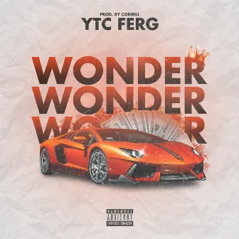 Wonder by YTC Ferg