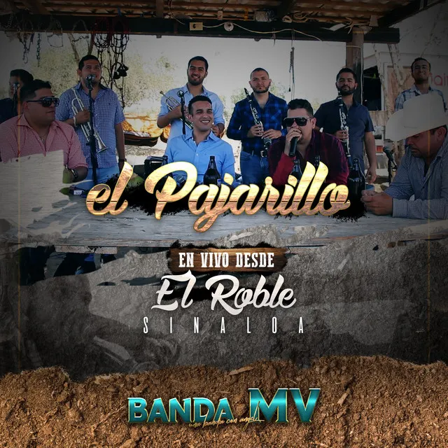 El Pajarillo (En Vivo Desde el Roble Sinaloa)