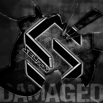 Damaged by Seldom