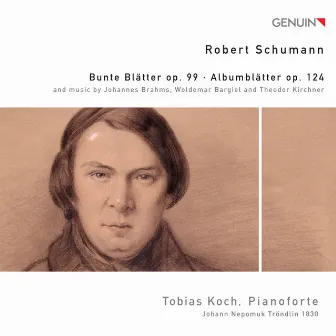 Schumann: Bunte Blätter, Op. 99 & Albumblätter, Op. 124 by Tobias Koch