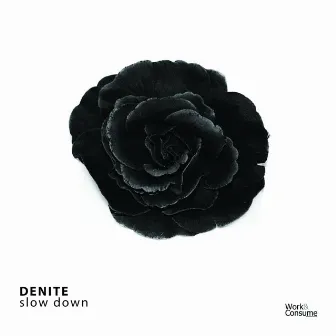 Slow Down by Denite