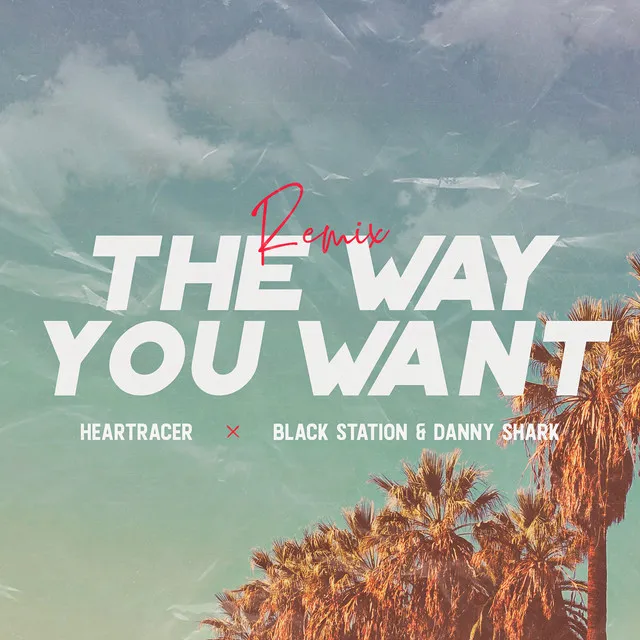 The Way You Want - (Black Station & Danny Shark Remix)