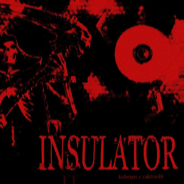 INSULATOR