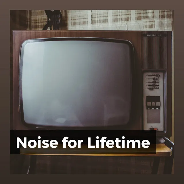 Noise for Lifetime