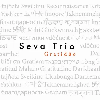 Gratidão by Seva Trio